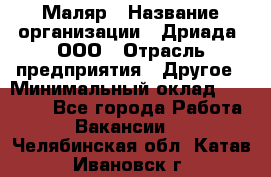 Маляр › Название организации ­ Дриада, ООО › Отрасль предприятия ­ Другое › Минимальный оклад ­ 18 000 - Все города Работа » Вакансии   . Челябинская обл.,Катав-Ивановск г.